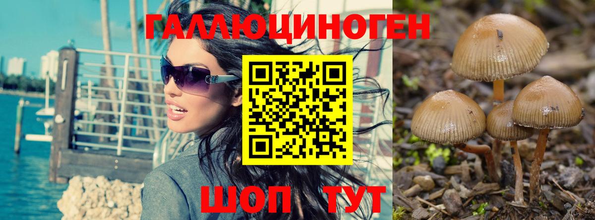 Изобильный  Галлюциногенные грибы мухоморы  продажа наркотиков  Вход с VPN 